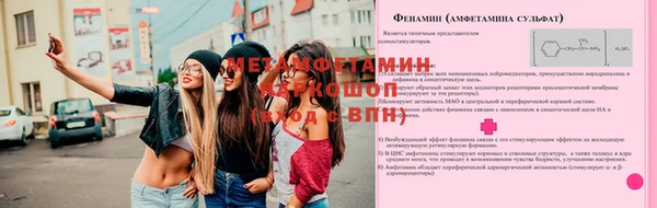 индика Нефтекумск