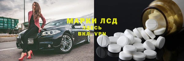 стафф Новодвинск