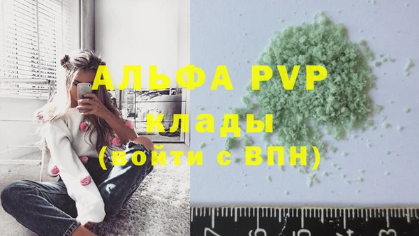 индика Нефтекумск