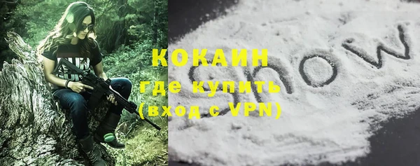 стафф Новодвинск