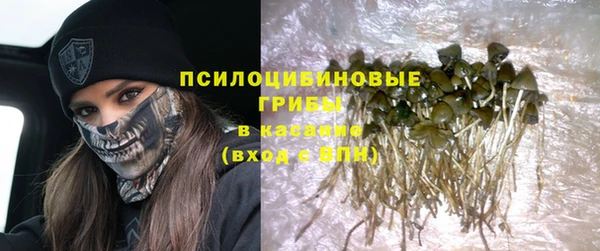 индика Нефтекумск