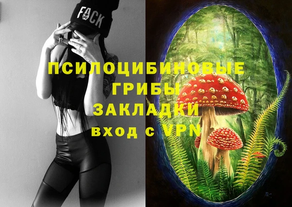 индика Нефтекумск
