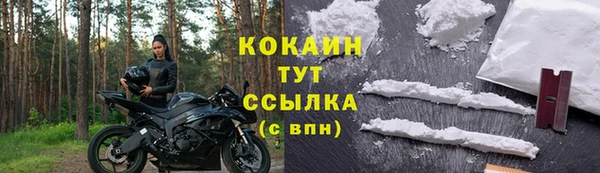 индика Нефтекумск