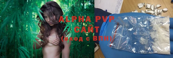 индика Нефтекумск