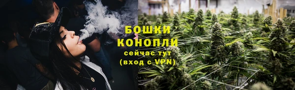 индика Нефтекумск