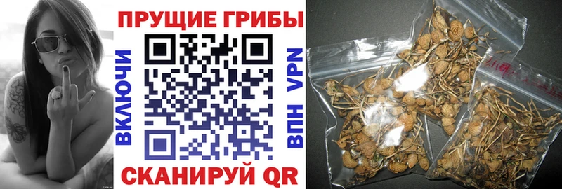 Галлюциногенные грибы прущие грибы Сафоново